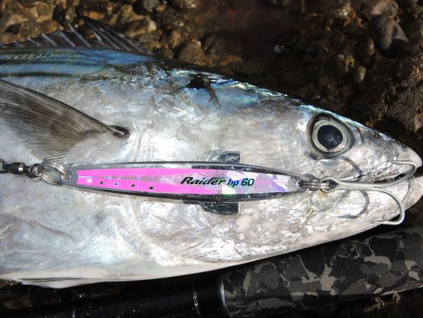 TESTED: Raider HP lures